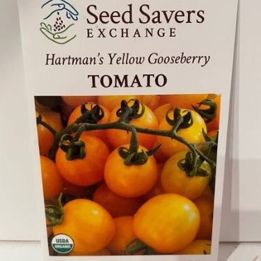 Organic Hartman's Yellow Gooseberry Tomato Seed
